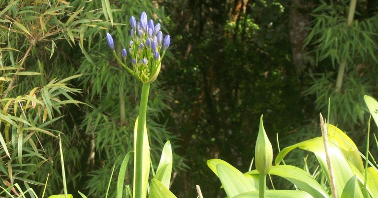 natur10.jpg