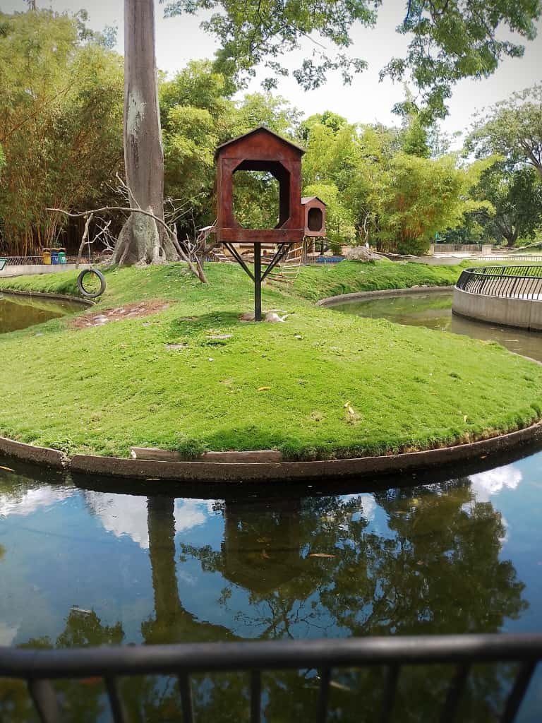 WhatsApp Image 2025-10-10 at 9.48.20 PM.jpeg