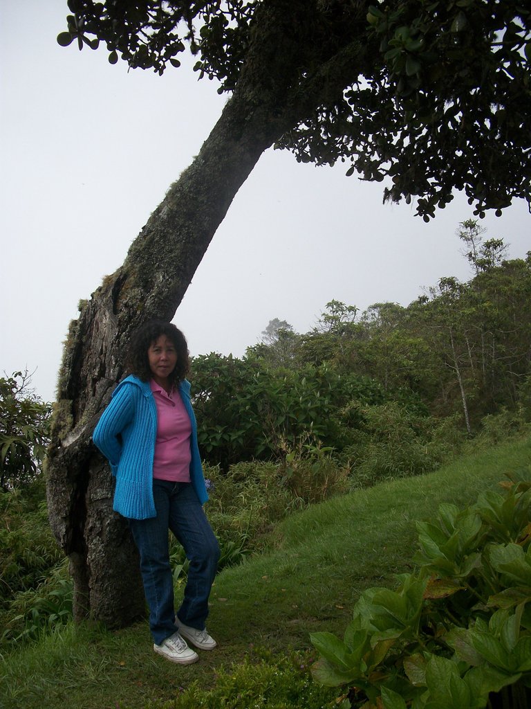 100_4064.JPG