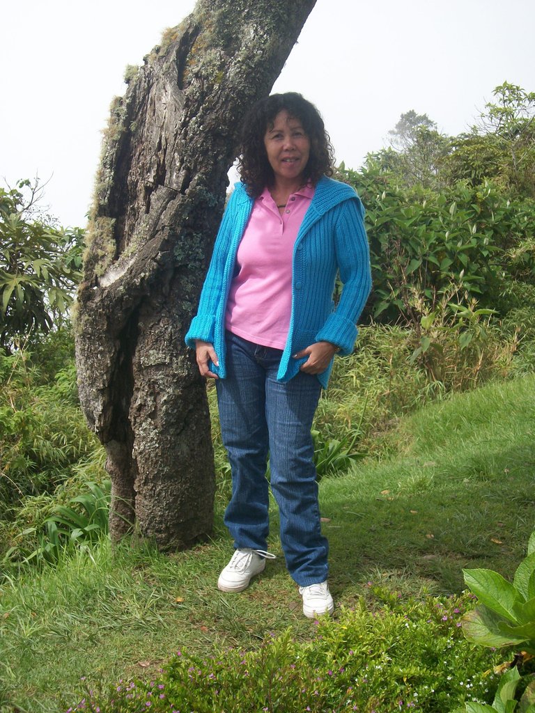 100_4063.JPG