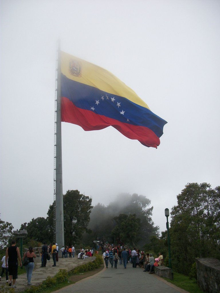100_4025.JPG
