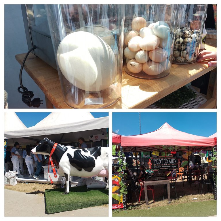 IMG_20250323_141915-COLLAGE.jpg