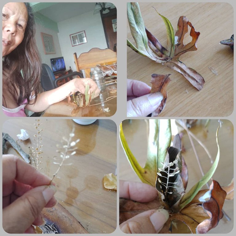 WhatsApp Image 2025-07-16 at 9.11.04 PM.jpeg