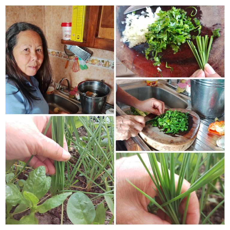 IMG_20250720_121246-COLLAGE.jpg