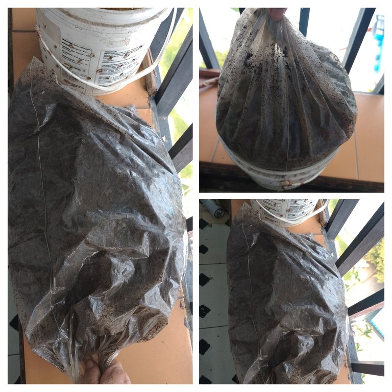 IMG_20250719_092214-COLLAGE.jpg