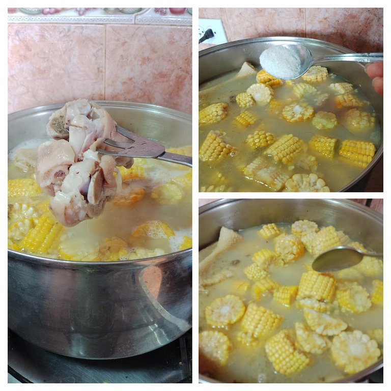 IMG_20250607_152619-COLLAGE.jpg