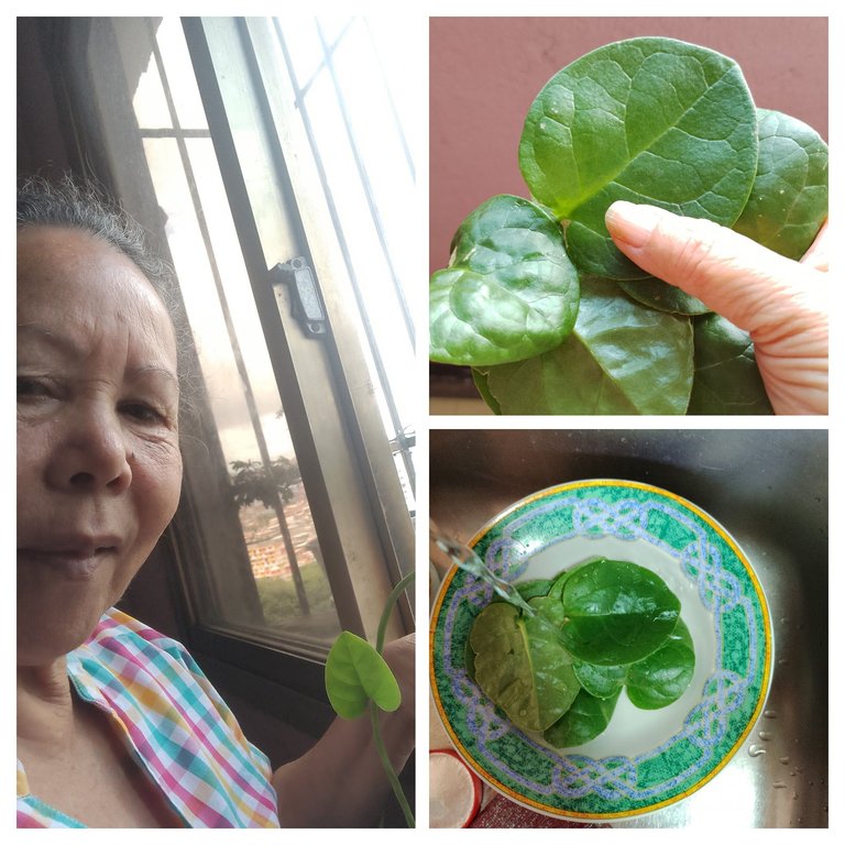 IMG_20250616_122520-COLLAGE.jpg