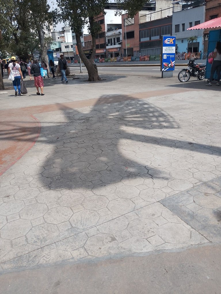 WhatsApp Image 2025-05-01 at 9.54.10 AM.jpeg