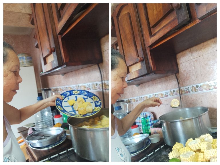 IMG_20250607_152437-COLLAGE.jpg