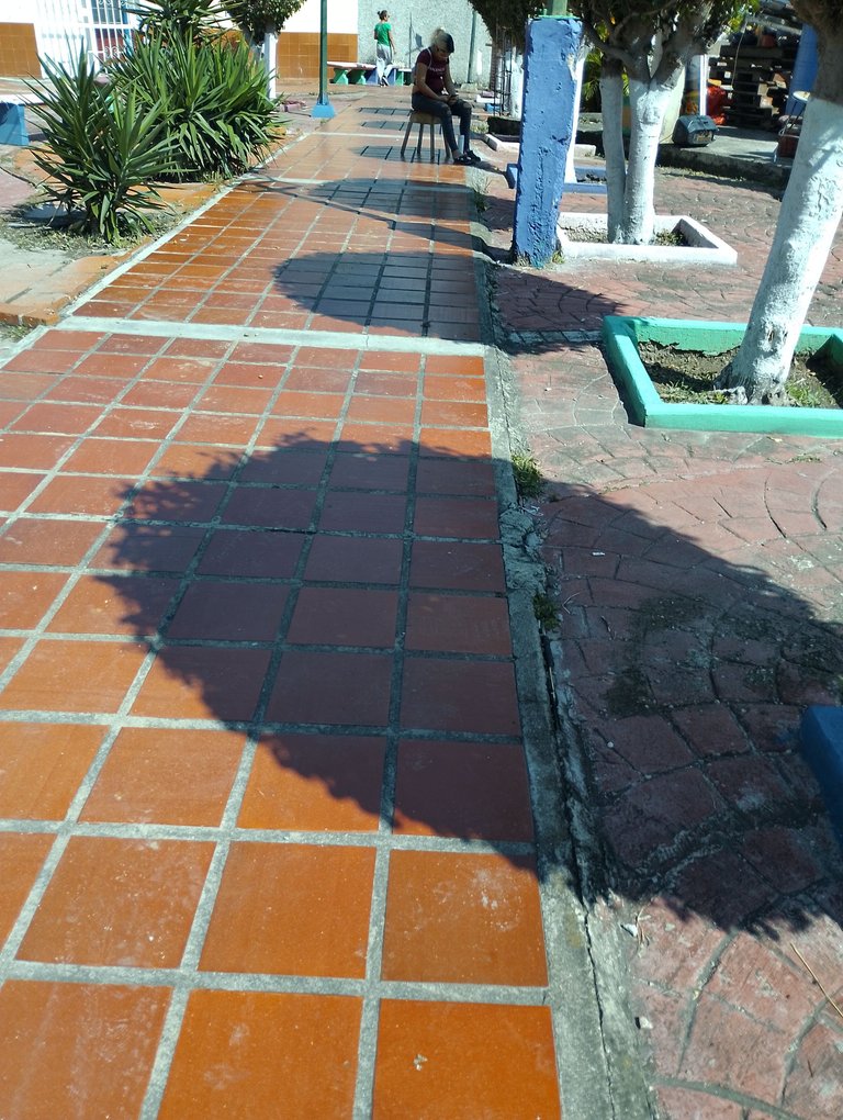 IMG_20250904_093701.jpg