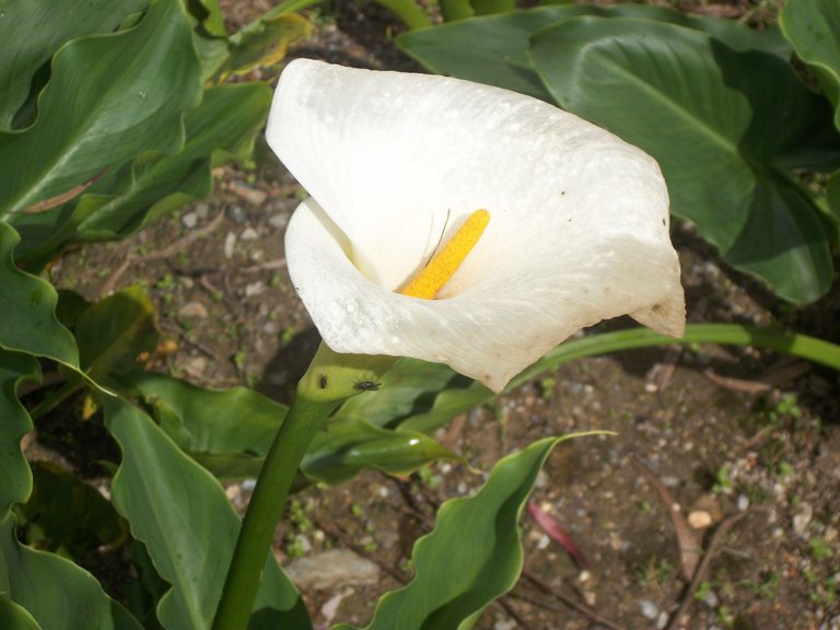100_4080.JPG