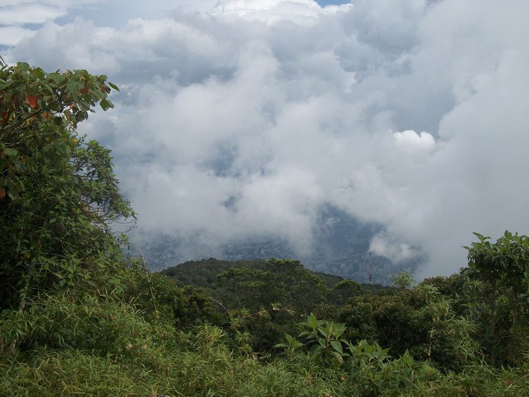 100_4070.JPG