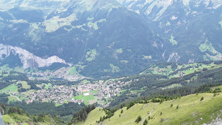 20190817_133043.jpg