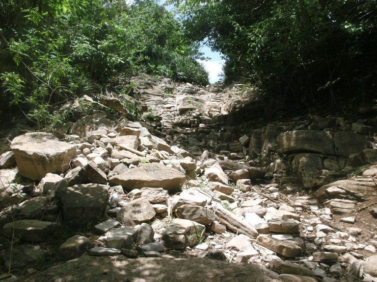 FormatFactorySANY0110.jpg