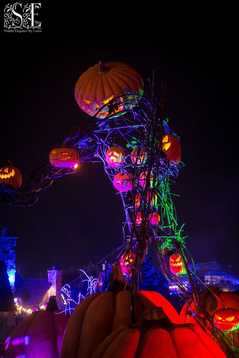 Evermore Halloween 2022 (33).jpg