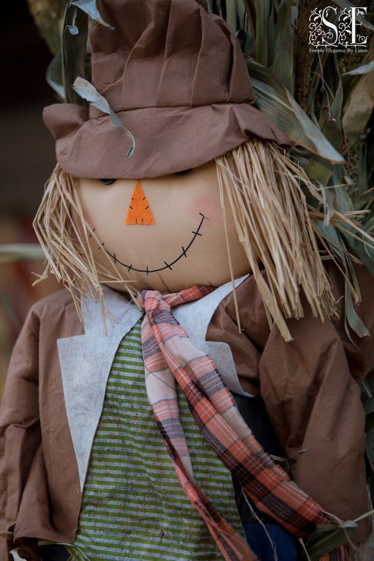 Scarecrow Festival (28).jpg