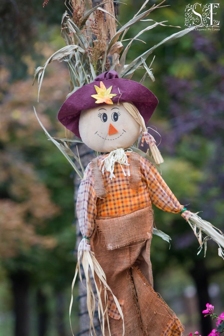 Scarecrow Festival (1).jpg