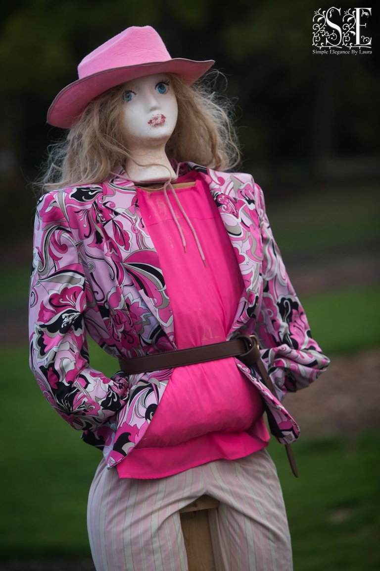 Scarecrow Festival (8).jpg