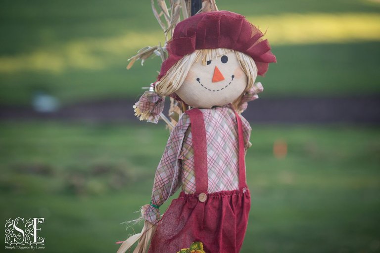 Scarecrow Festival (21).jpg