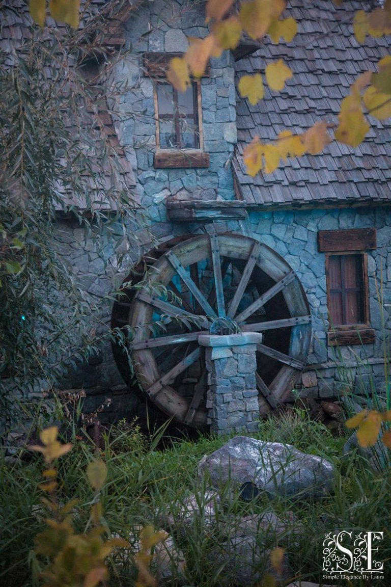 Evermore Halloween 2022 (21).jpg