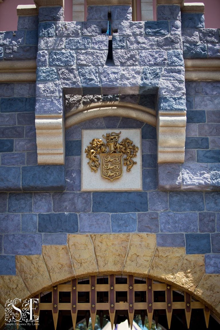 Sleeping Beauty Castle Detail Work (5).jpg