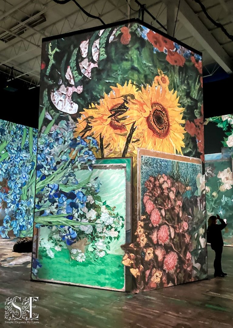 Van Gogh Experience (19).jpg