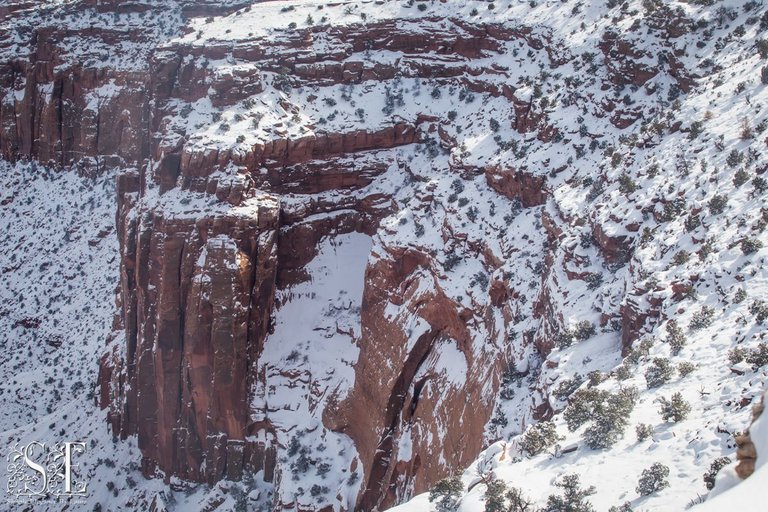 Canyonlands (19).jpg
