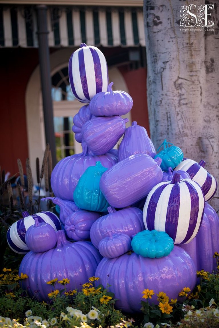 Piles of Pumpkins (1).jpg