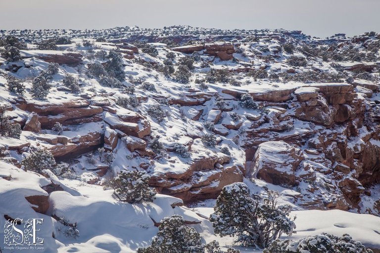 Canyonlands (17).jpg