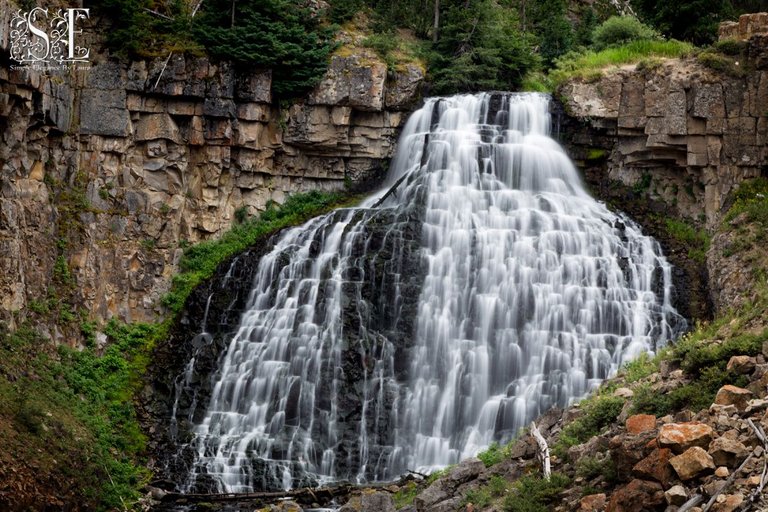 Yellowstone 2022 (163).jpg
