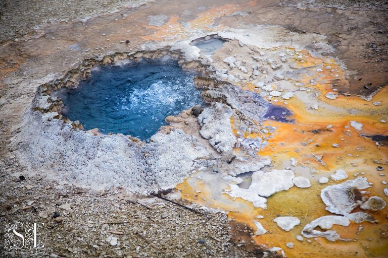 Yellowstone 2022 (84).jpg