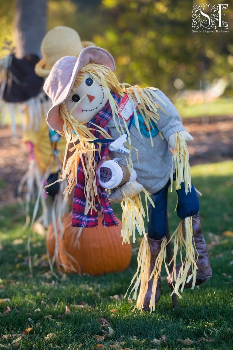 Scarecrow Festival (24).jpg