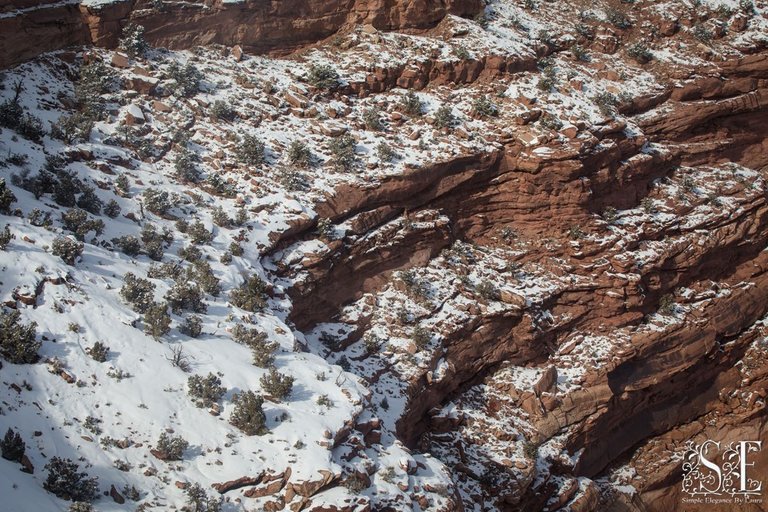 Canyonlands (20).jpg
