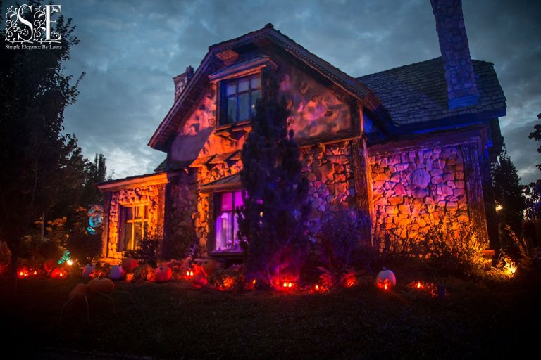Evermore Halloween 2022 (25).jpg