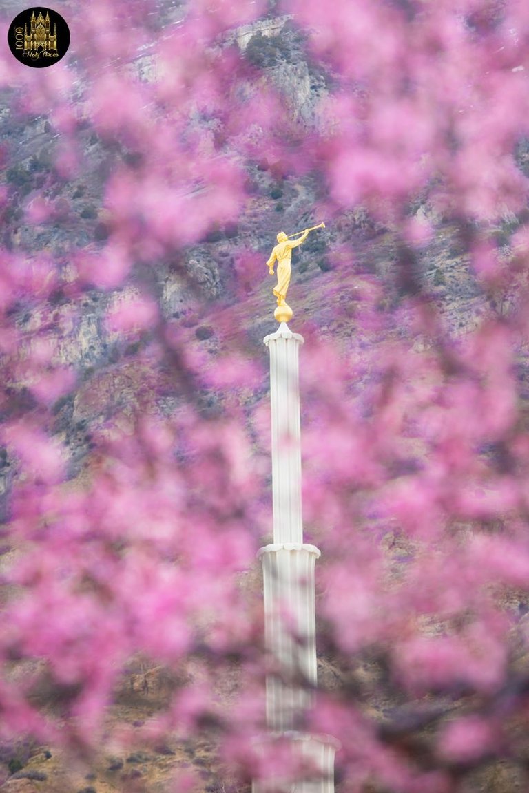 Provo Temple Spire in Spring.jpg