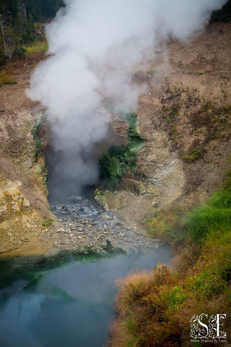 Yellowstone 2022 (60).jpg