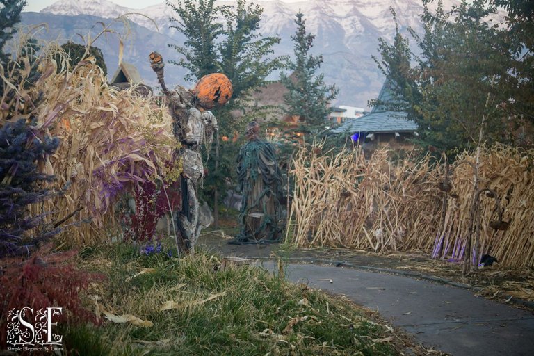 Evermore Halloween 2022 (14).jpg