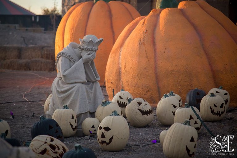 Evermore Halloween 2022 (5).jpg