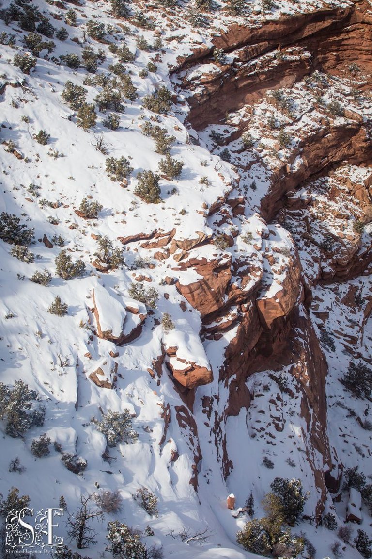 Canyonlands (21).jpg