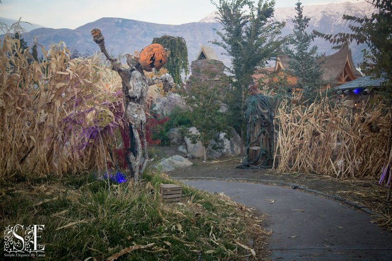 Evermore Halloween 2022 (12).jpg