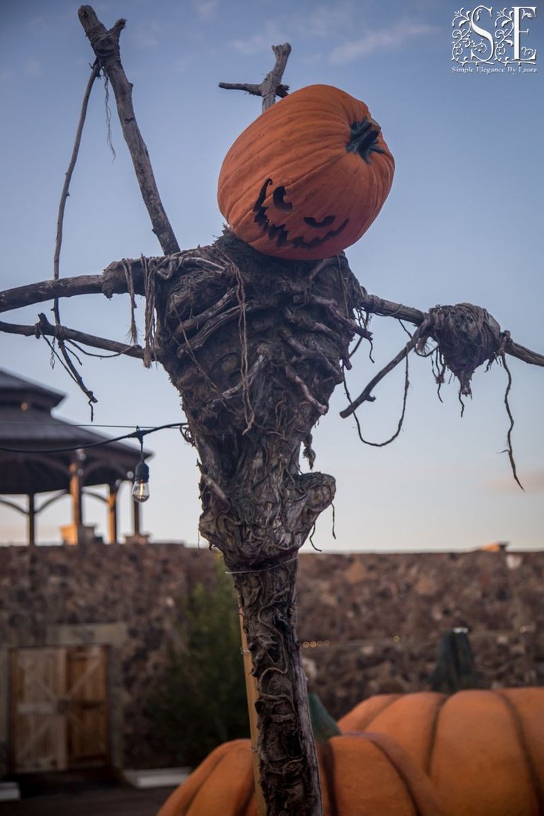 Evermore Halloween 2022 (1).jpg