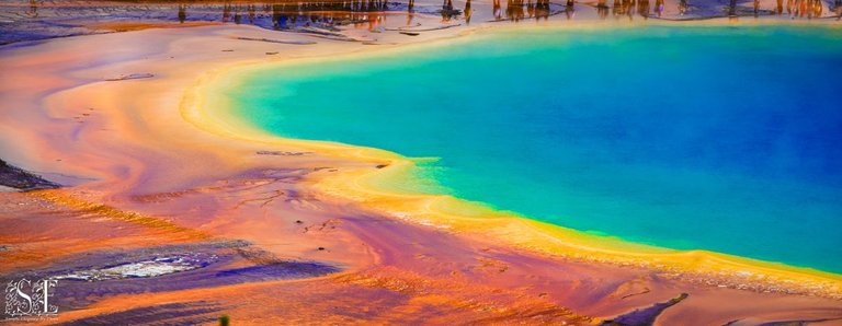 Yellowstone 2022 (245).jpg