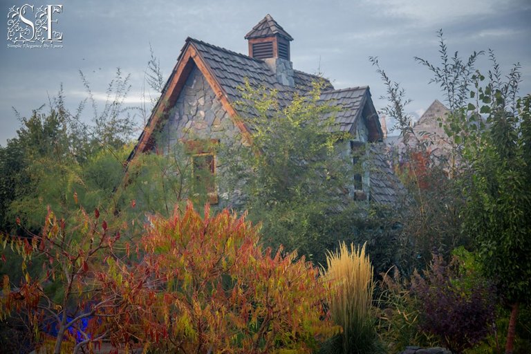 Evermore Halloween 2022 (20).jpg