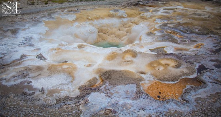 Yellowstone 2022 (120).jpg