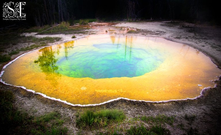 Yellowstone 2022 (97).jpg