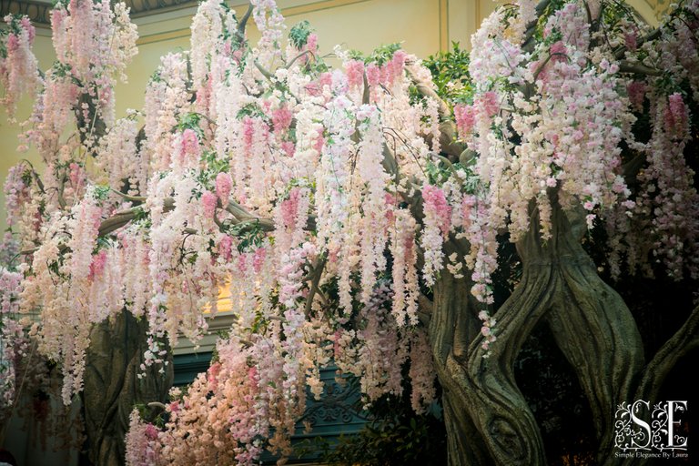 Bellagio Conservatory Japanese 4.jpg