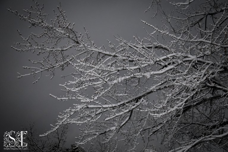 Winter Snow at Night 2.jpg