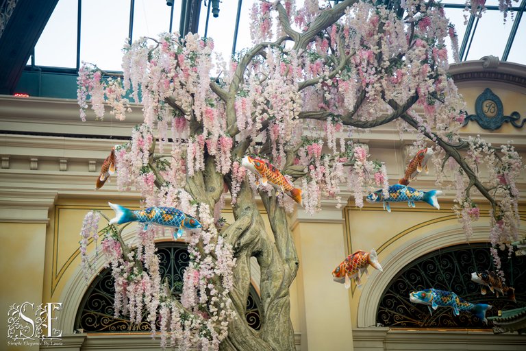 Bellagio Conservatory Japanese 2.jpg