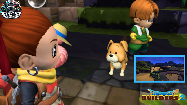 precentacion.png