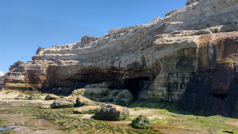 IMG_20220326_121904087_HDR.jpg